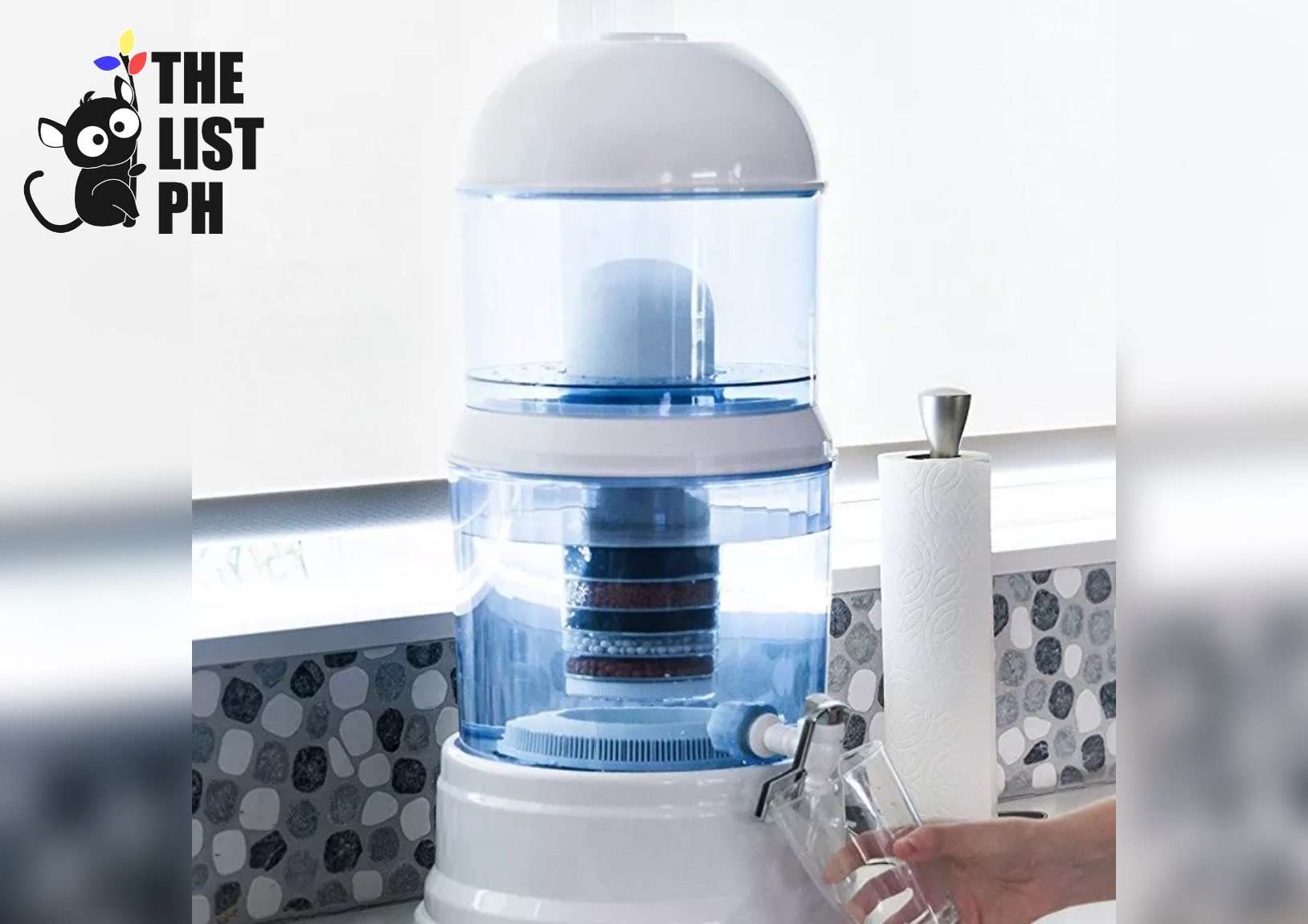 SkyClear Water Purifier Filter Pot