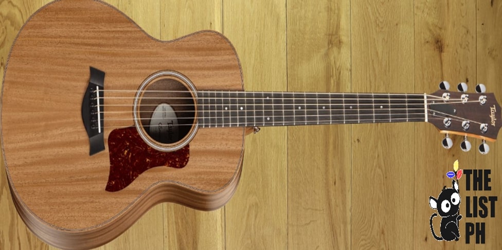 Taylor GS Mini Mahogany