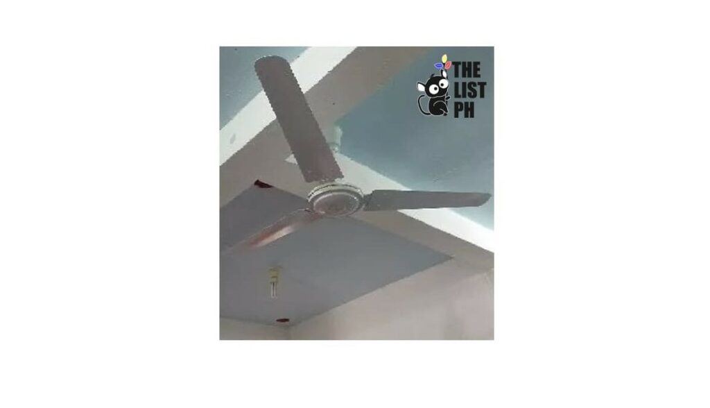 3 Metal Blade Ceiling Fan