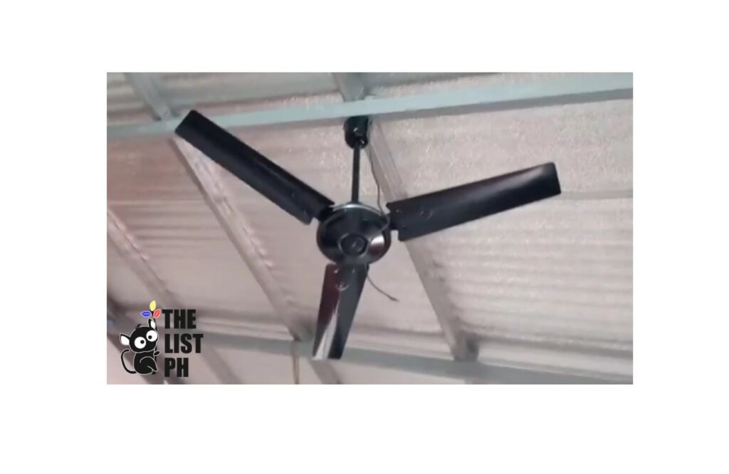 Asahi C 56SS Ceiling Fan