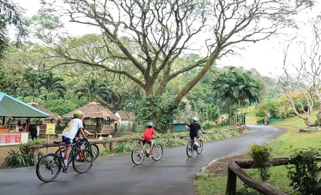 Try biking at La Mesa Nature Reserve