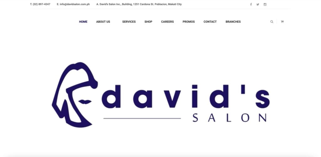 David’s Salon Homepage