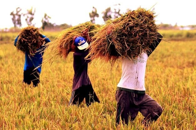 Hard Work