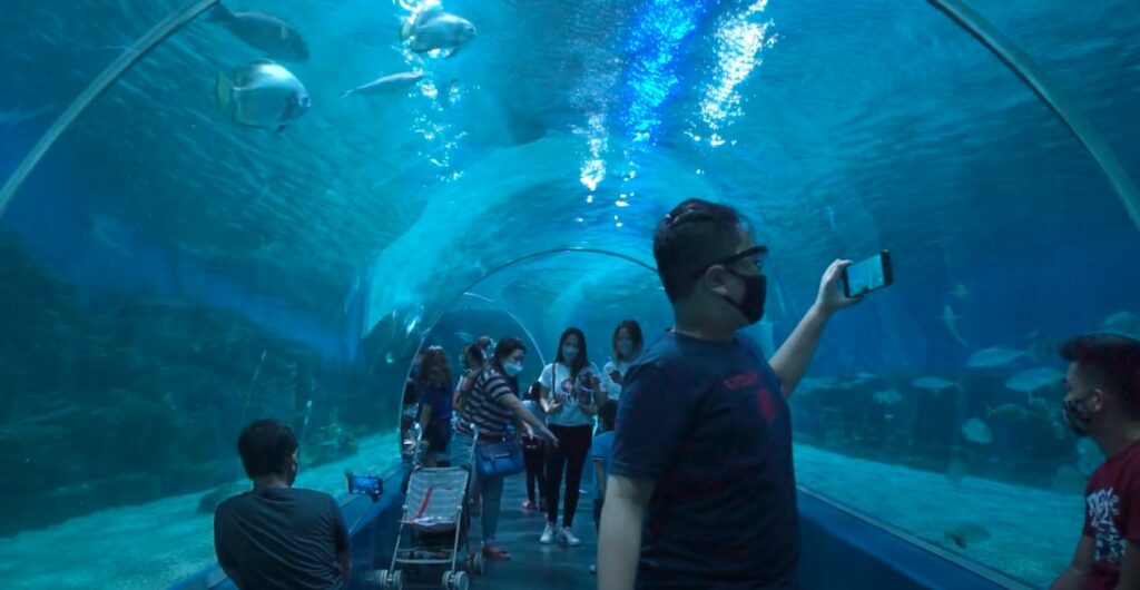 Oceanarium