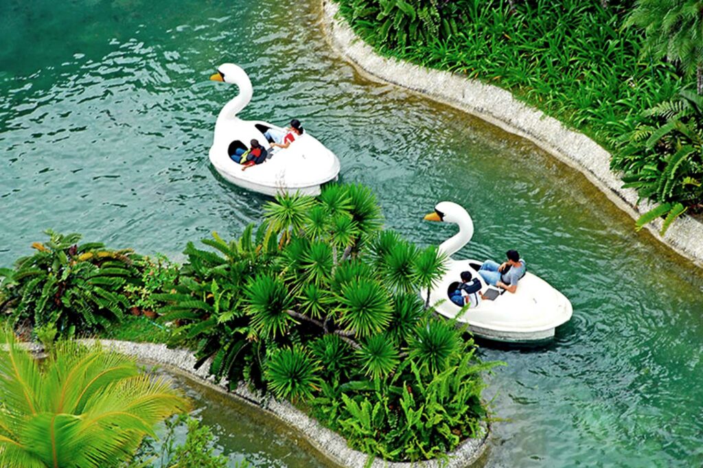 Swan Lake