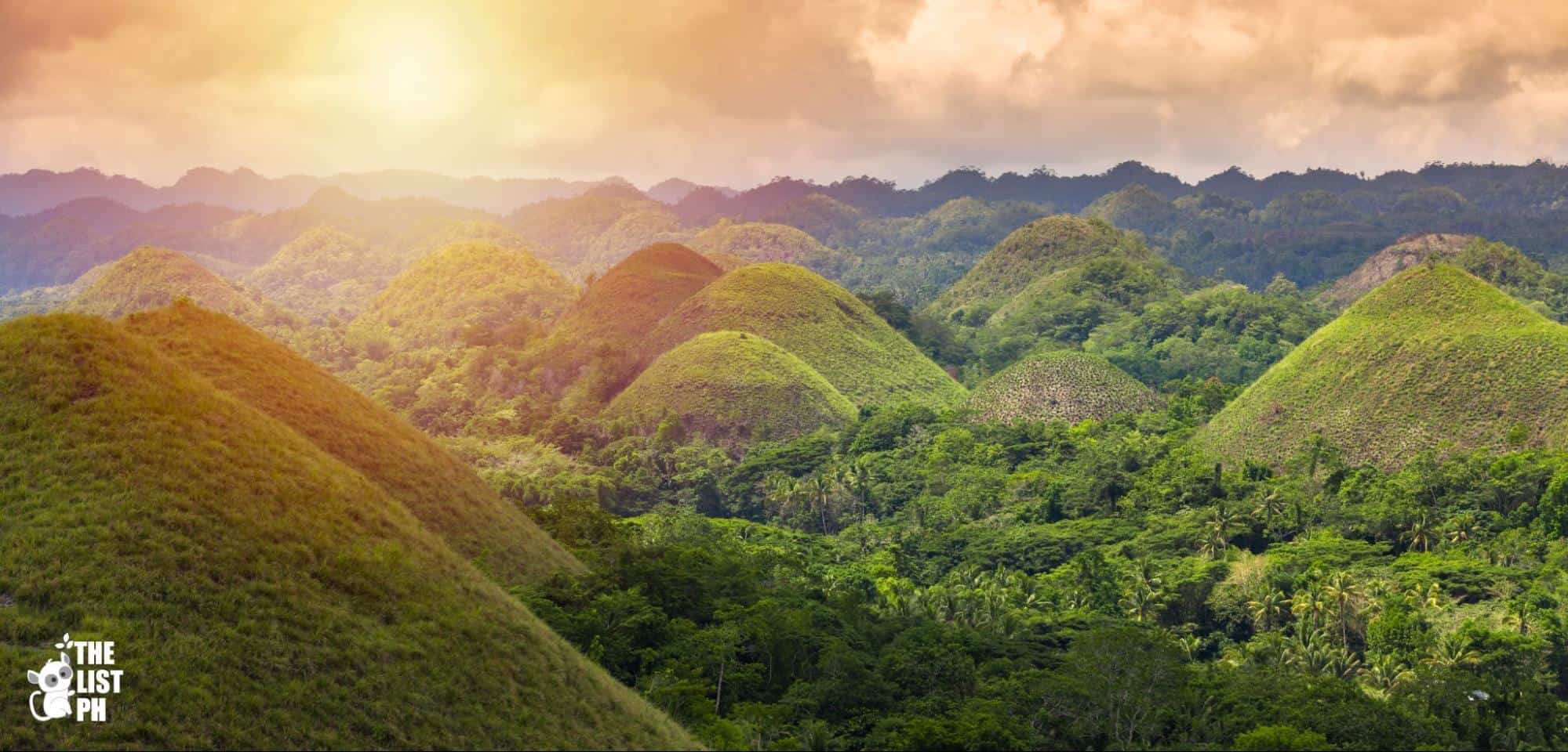 10 Things to do in Bohol