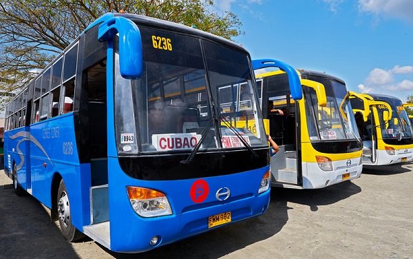 Bus