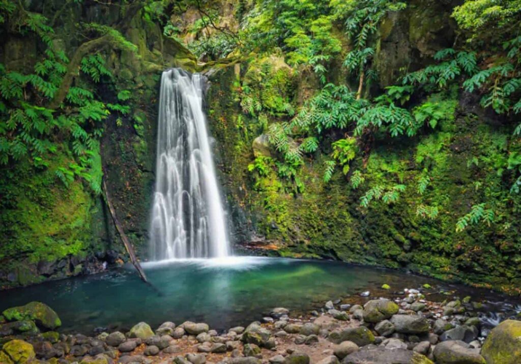 Have a good time at Mapawa Nature Park