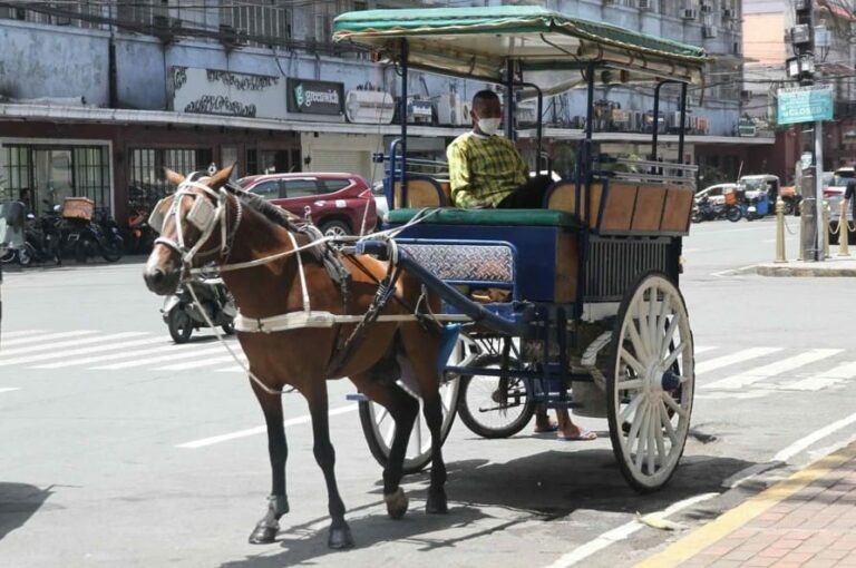Commuting in the Philippines 101 [2025]