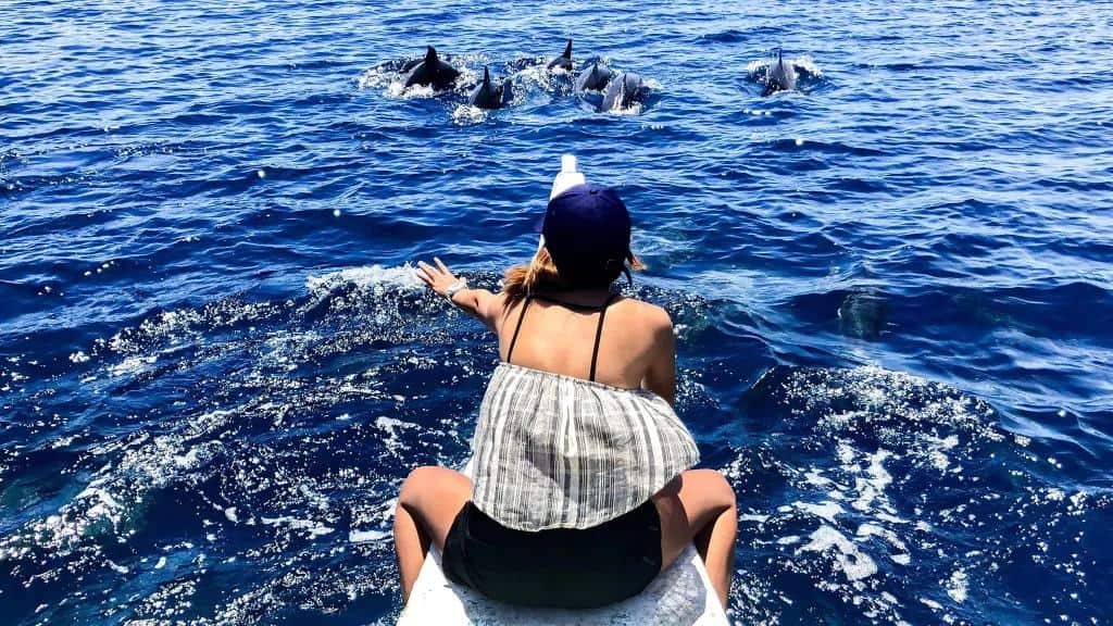 Try dolphin watching at Manjuyod Sandbar
