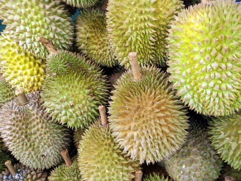Try durian