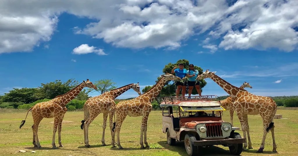 Visit Calauit Safari