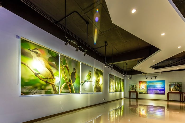 Visit Clark Museum