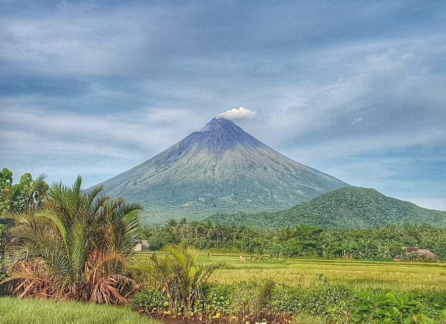 Albay