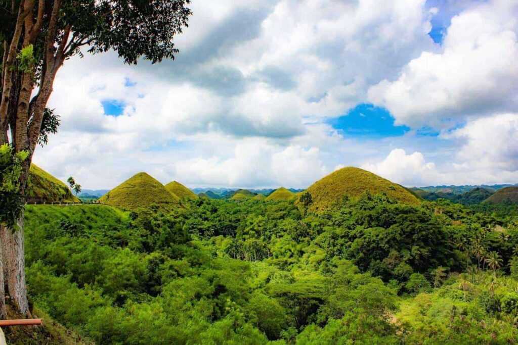 Bohol
