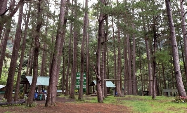 Buccari Pine Forest and Campsite - Leon