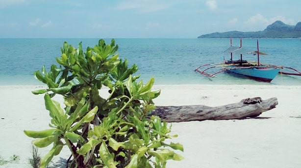 Camp at Dampalitan Island
