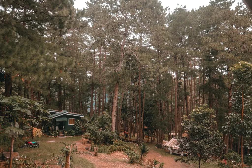 Camp in Iloilo's Little Baguio, Bucari Pine Forest