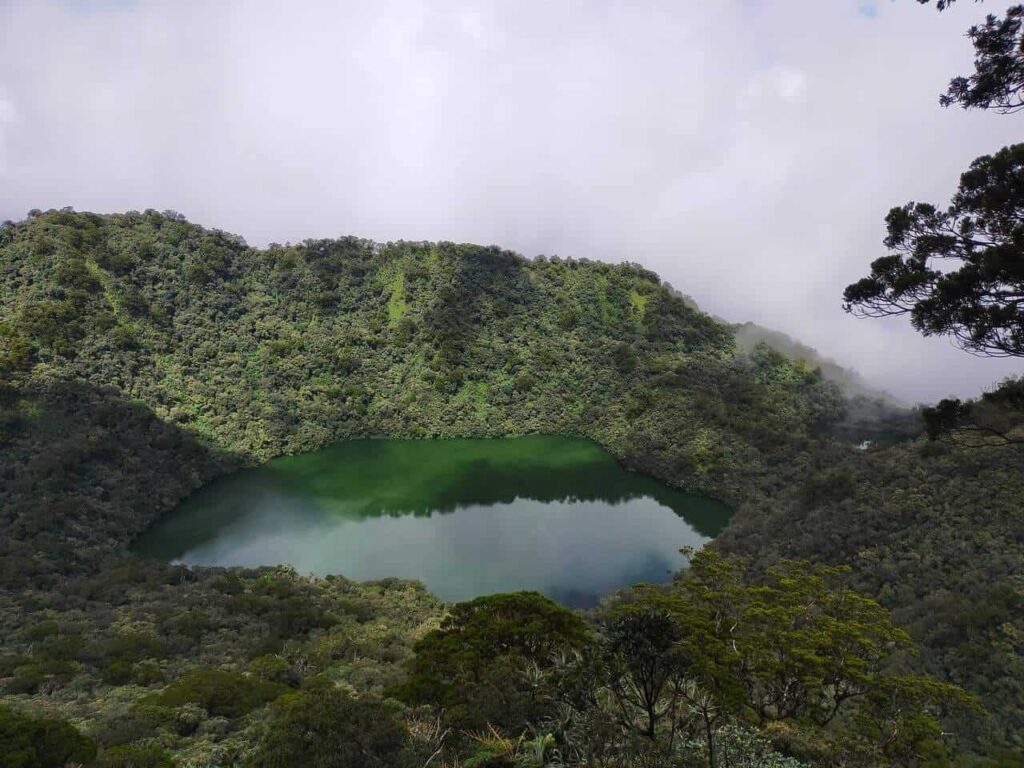 Discover Mt. Talinis