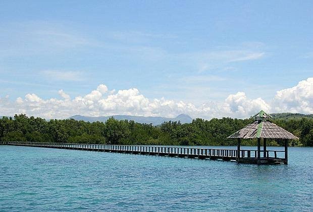 Explore the Bird Sanctuary in Talabong Mangrove