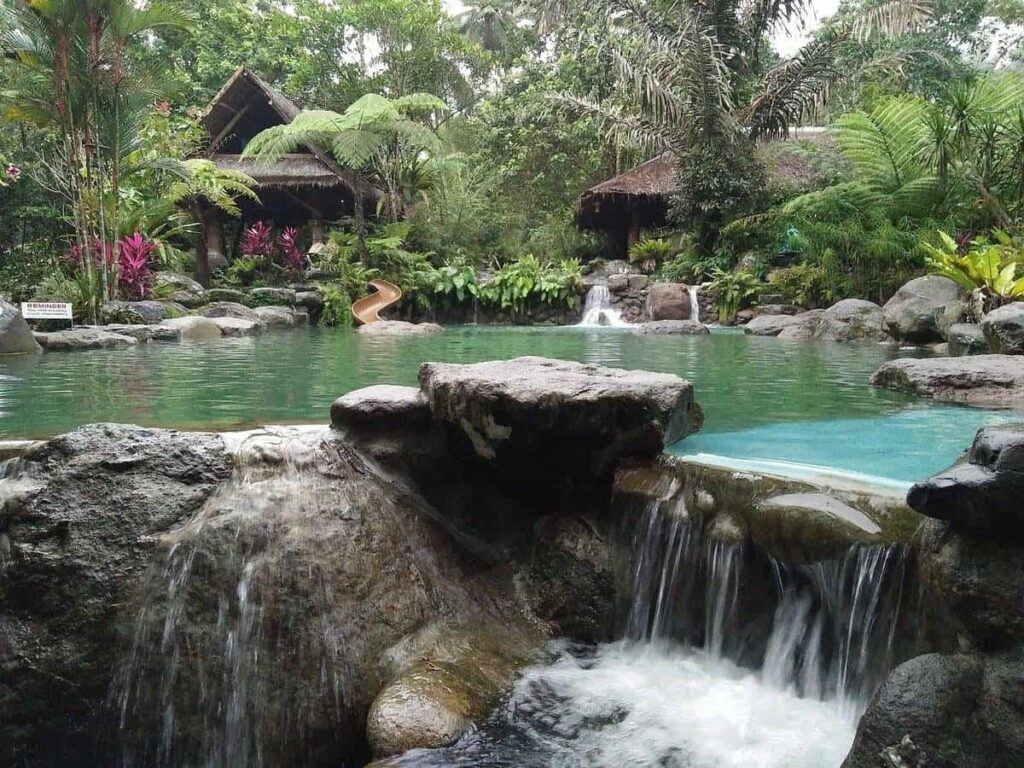 Have a day trip adventure at Forest Camp