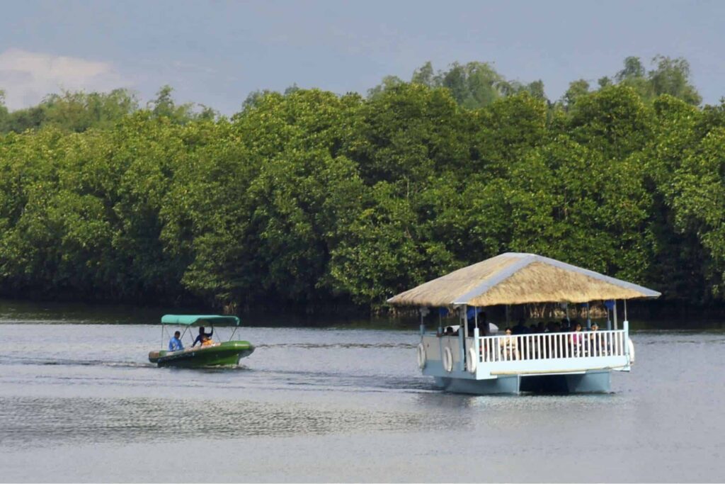 Have a relaxing trip on the Dawel River Cruise