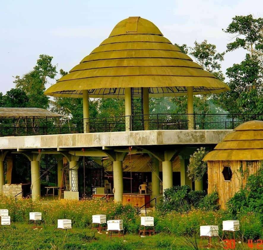 Ilog Maria Honeybee Farm