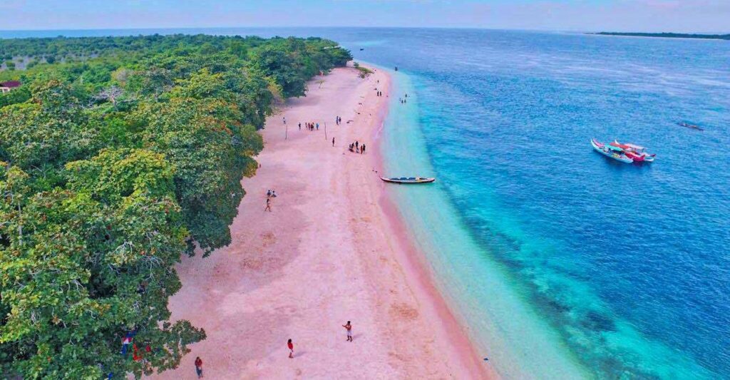 San Vicente Pink Beach - Samar