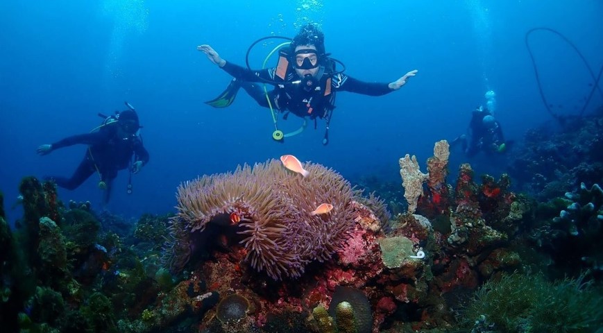 Scuba Diving – Anilao, Batangas