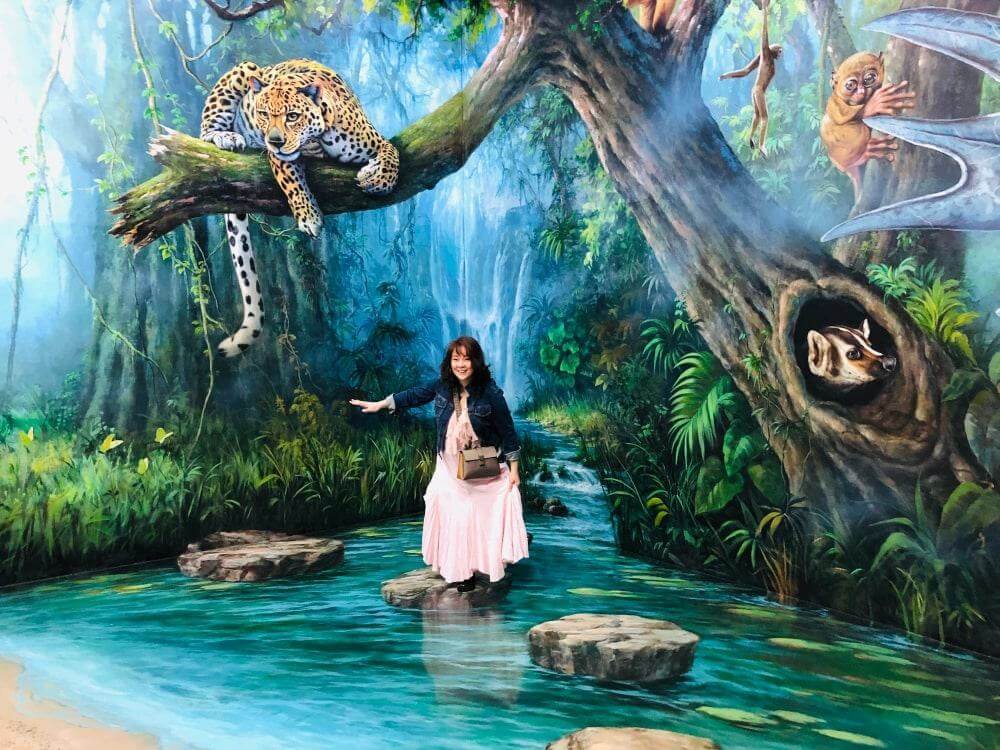 Take pictures and appreciate 3D art at Art in Island