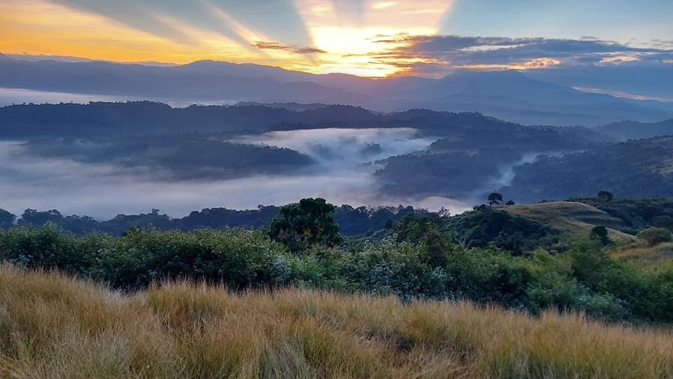 Witness Mt. Puraw’s sea of clouds
