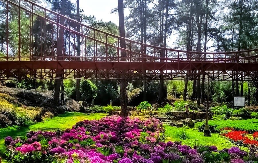 Baguio Botanical Garden