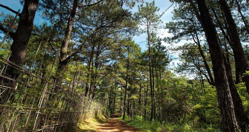 Camp John Hay Eco-trail