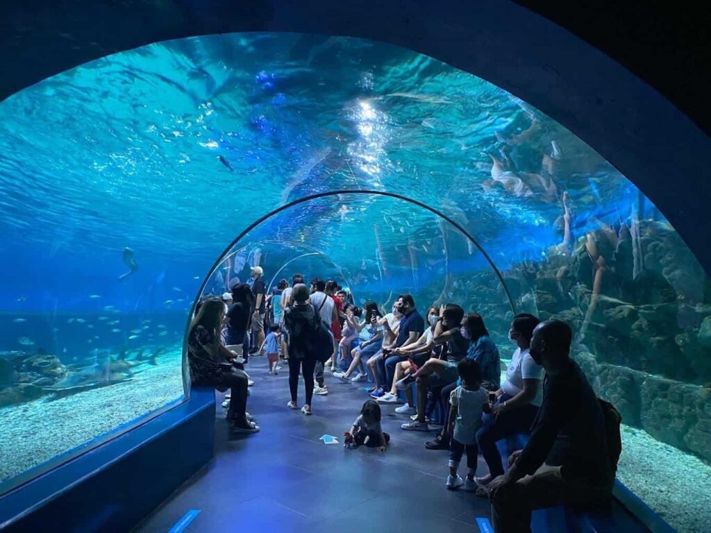 See the sea animals at Manila Ocean Park
