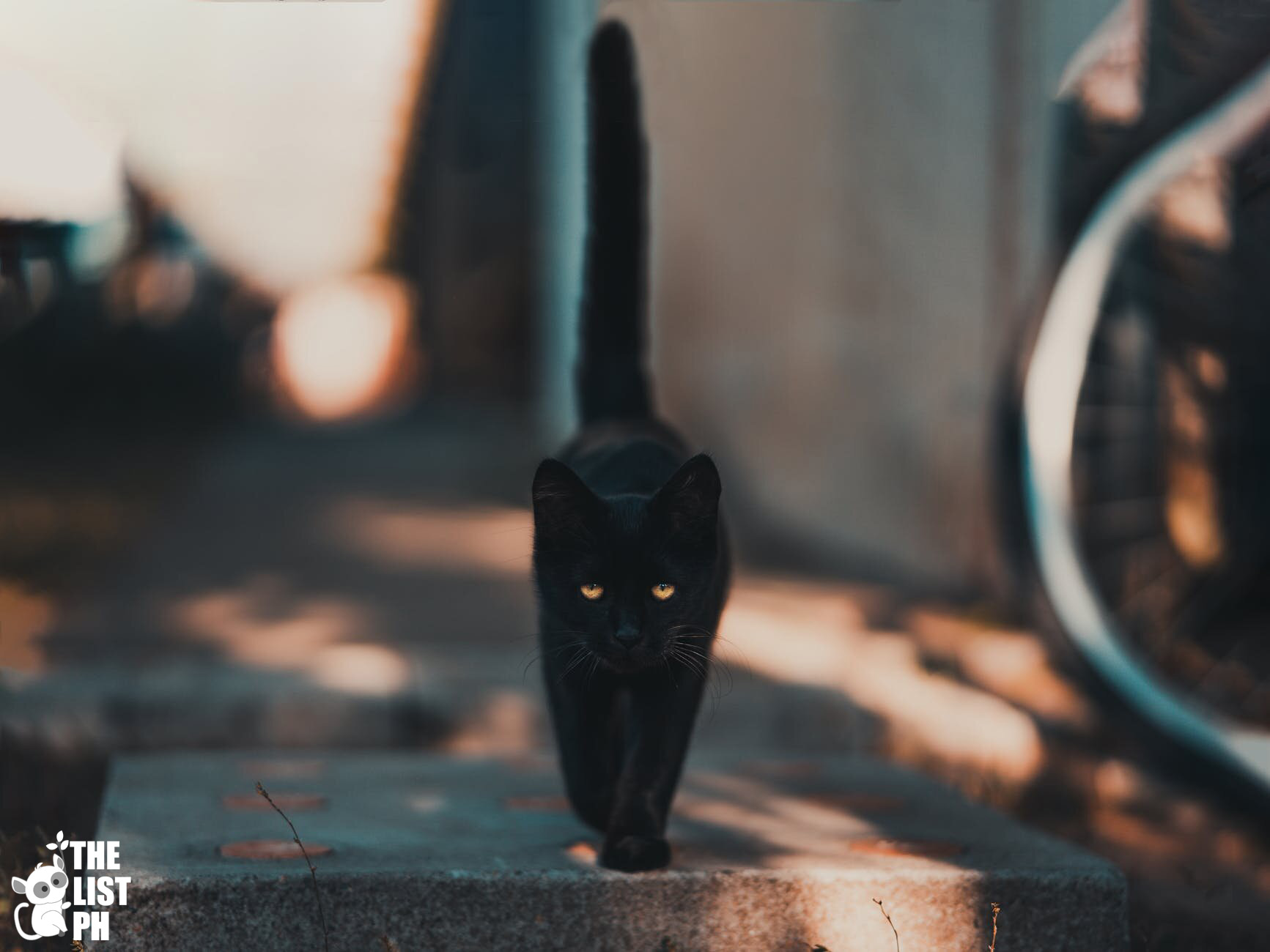 Superstitious Beliefs of the Filipinos